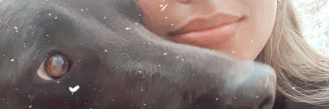 aylenrojas2's profile banner image