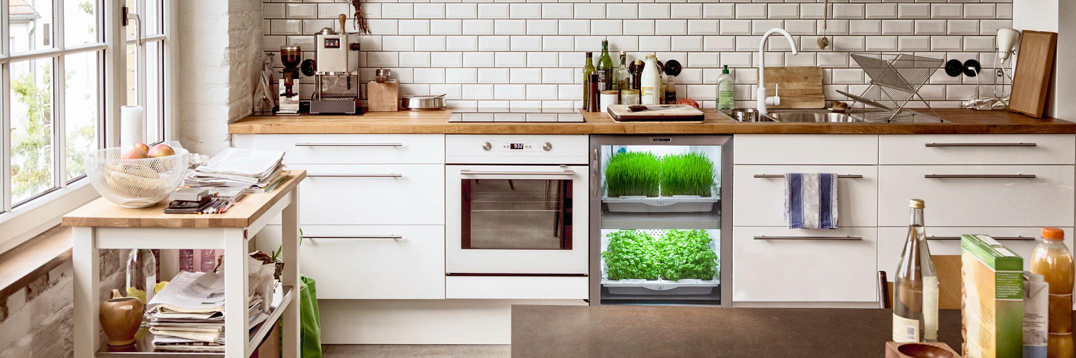 VeggieBros_'s profile banner image