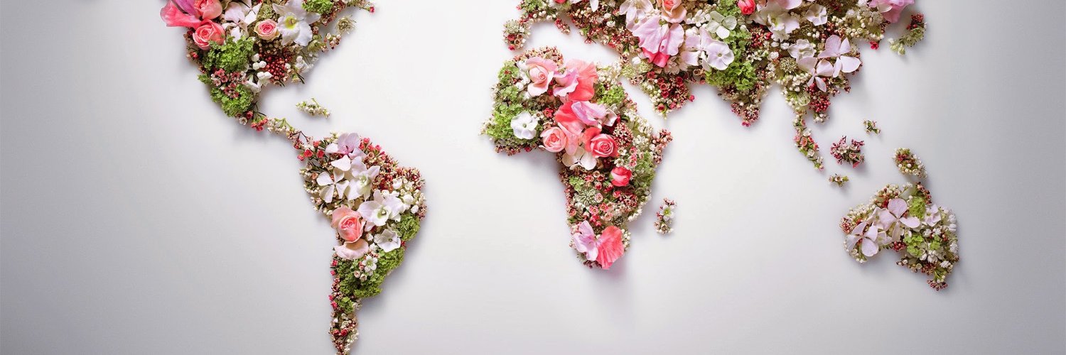 cemila's profile banner image