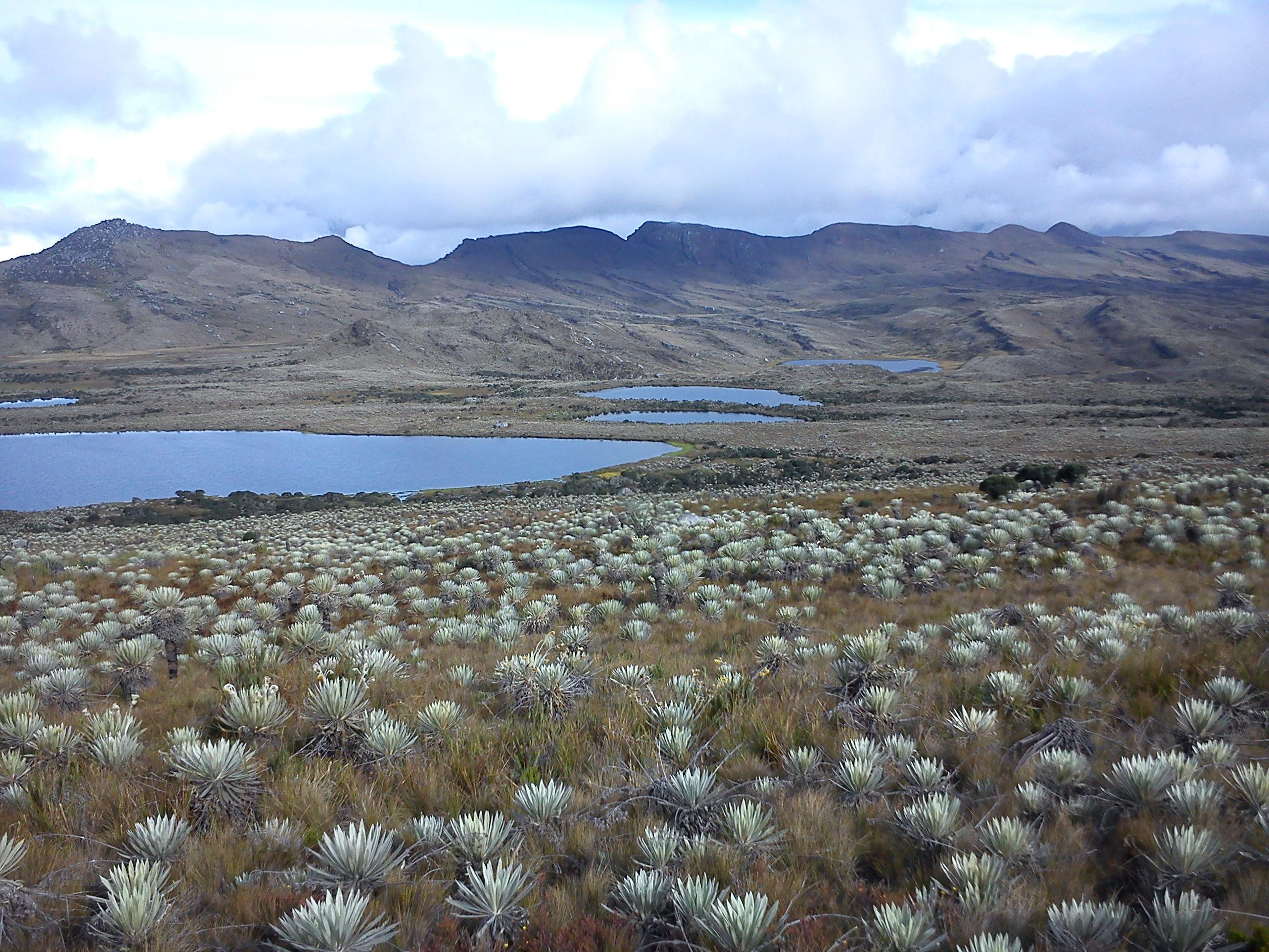 Paramo Del Sumapaz banner