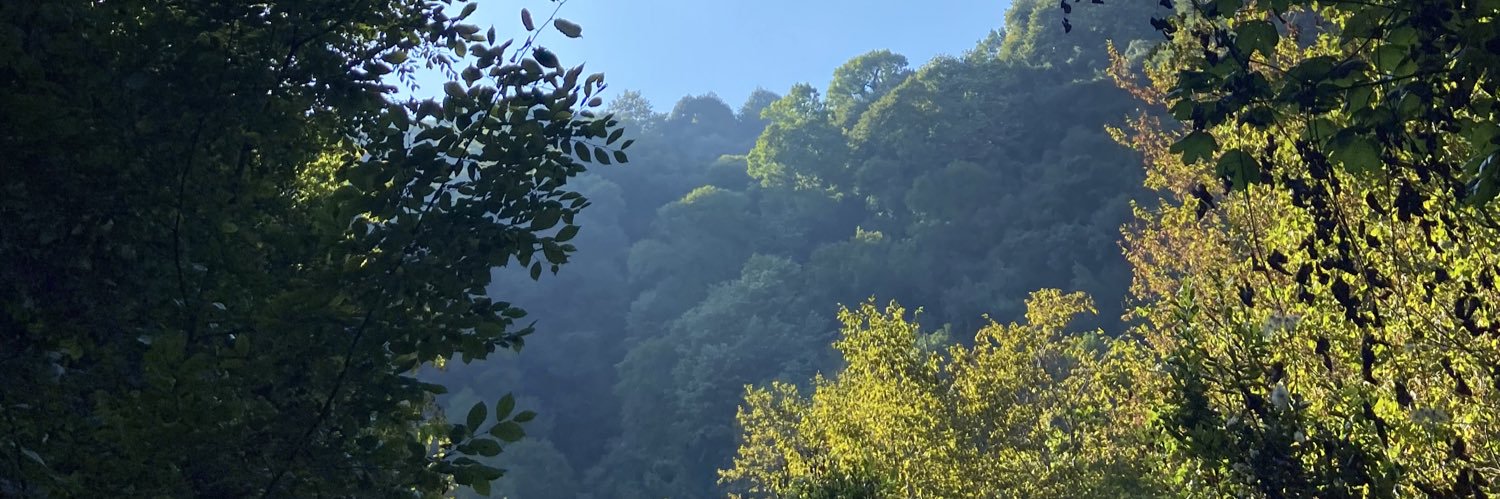 Ferdi_guvec's profile banner image