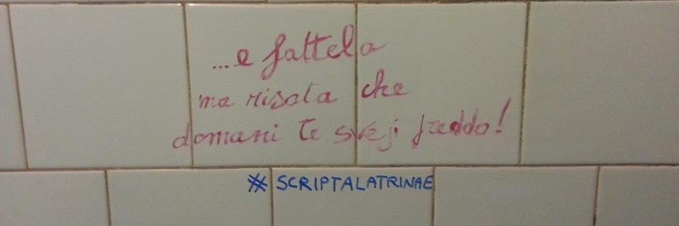 ScriptaLatrinae's profile banner image