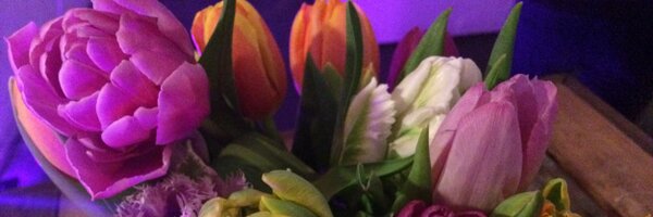 gonny Profile Banner