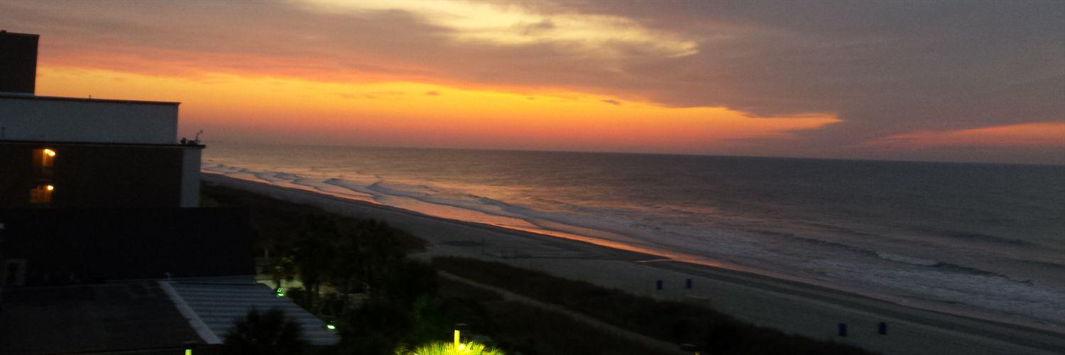 LolaFalanaSumter banner