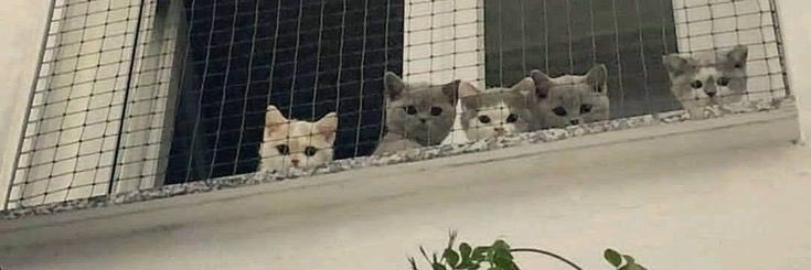 agusmxrtinetti's profile banner image