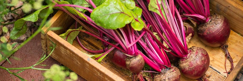 just_beet_it's profile banner image