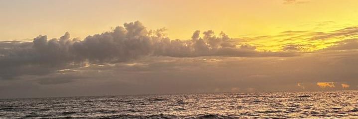 isadelazari's profile banner image
