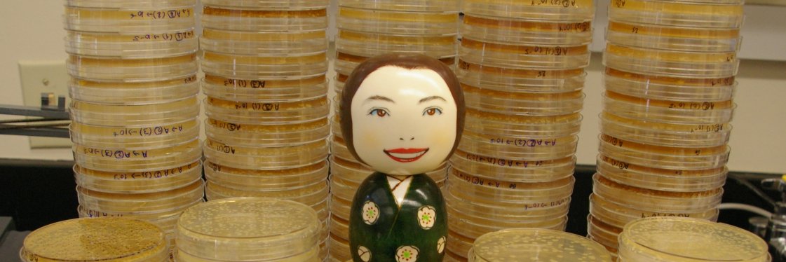 Alejandra Rodriguez banner