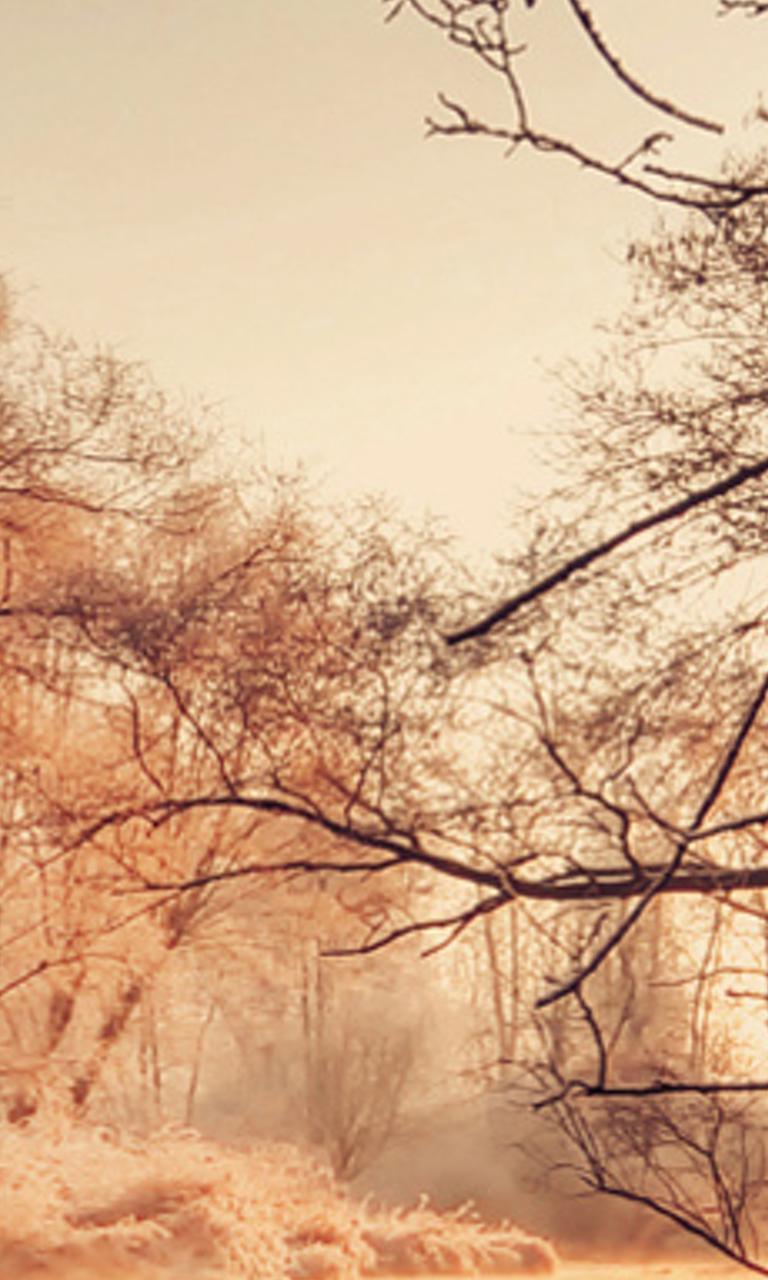 atan0628's profile banner image