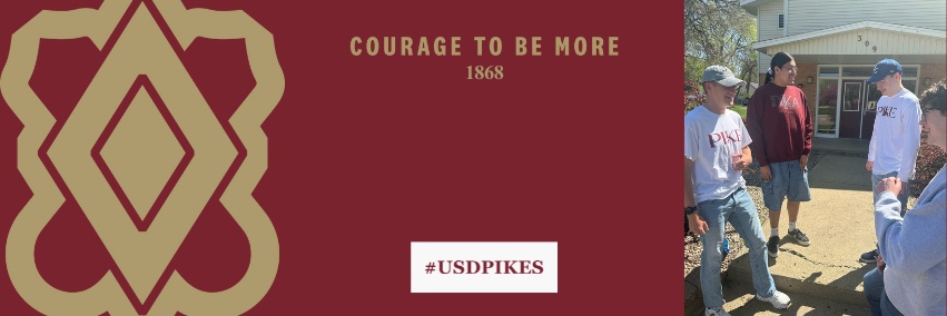 USDPIKES's profile banner image
