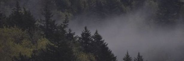 darktang13's profile banner image