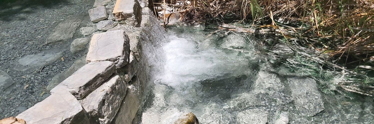 MACDracony 🐉🔥 banner