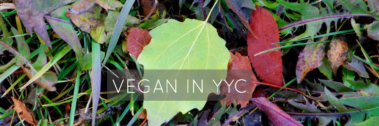 veganinyyc's profile banner image