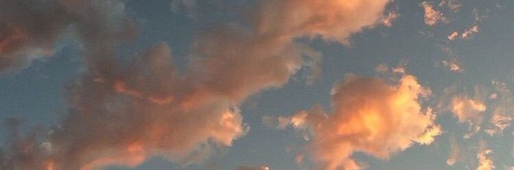 vivas_brisa's profile banner image