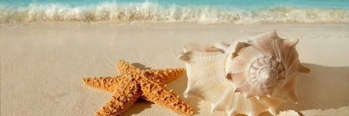 saidycabrejon's profile banner image