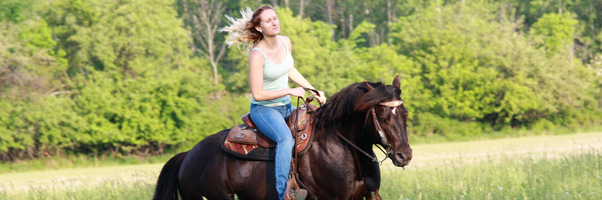 Tracy Detz, Children's Book Author banner