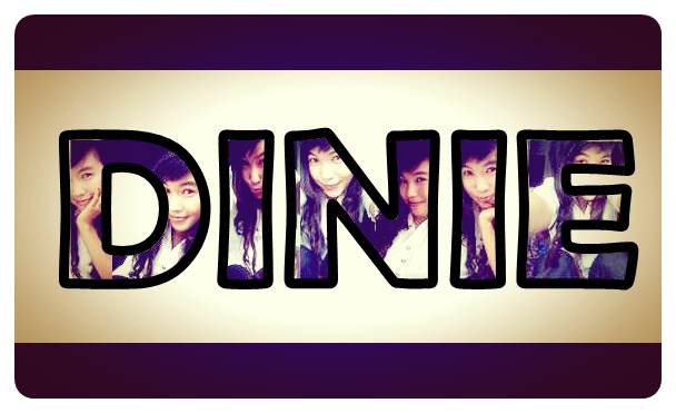Dini_Ariskaa's profile banner image