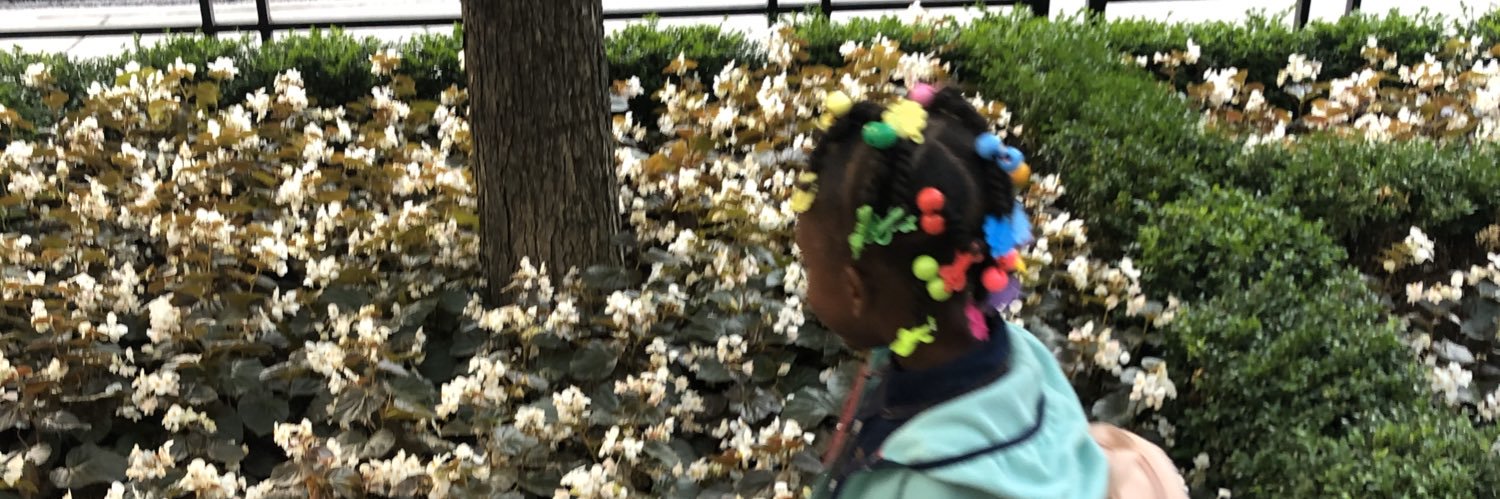 Just_Lici_'s profile banner image