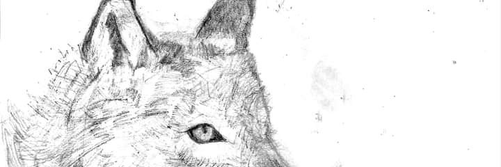 DabroxAr's profile banner image