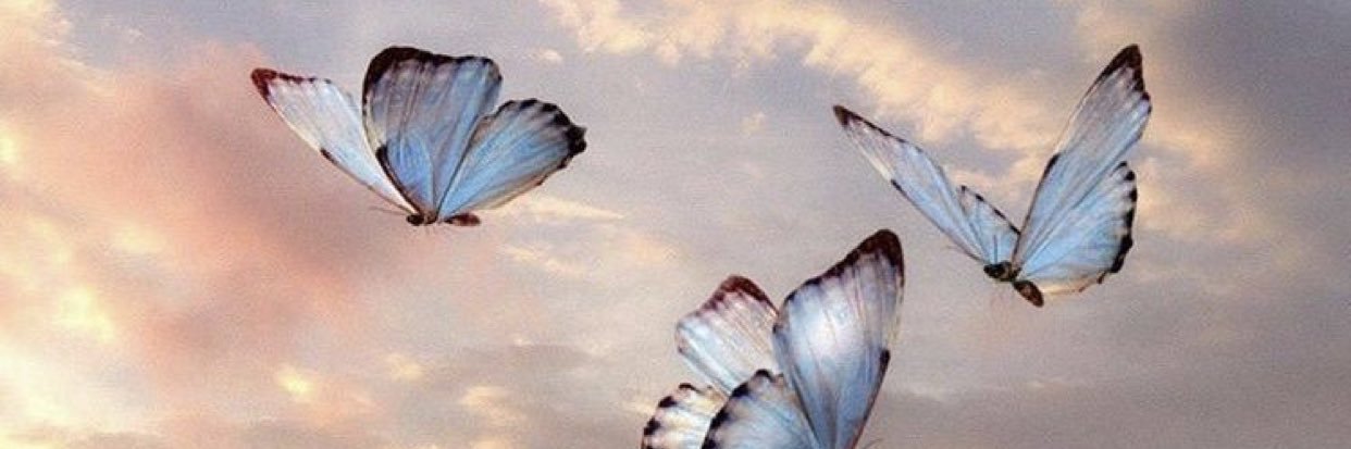 bellerrrssss's profile banner image