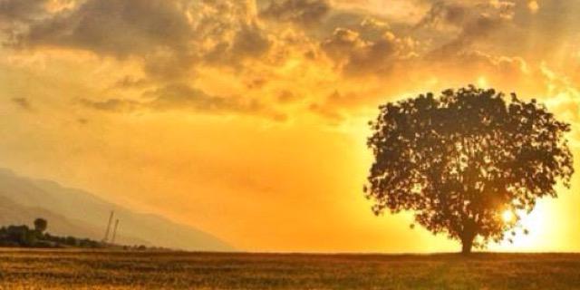 SethD89's profile banner image