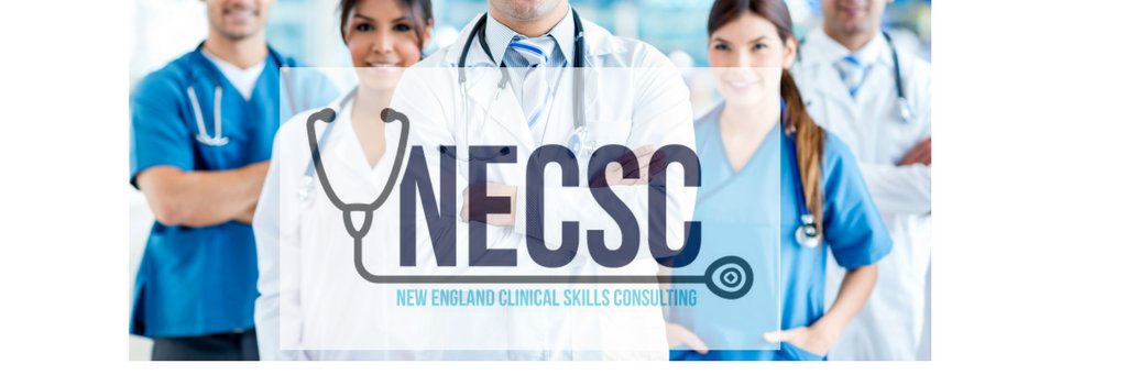 NECSconsulting's profile banner image