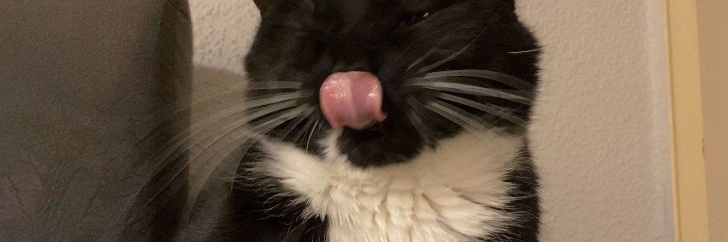 vmaddisonx's profile banner image