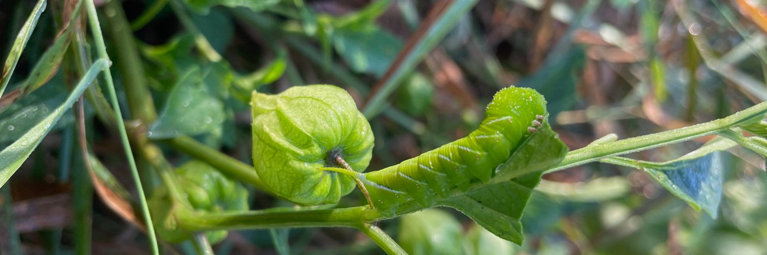 plantdefense's profile banner image
