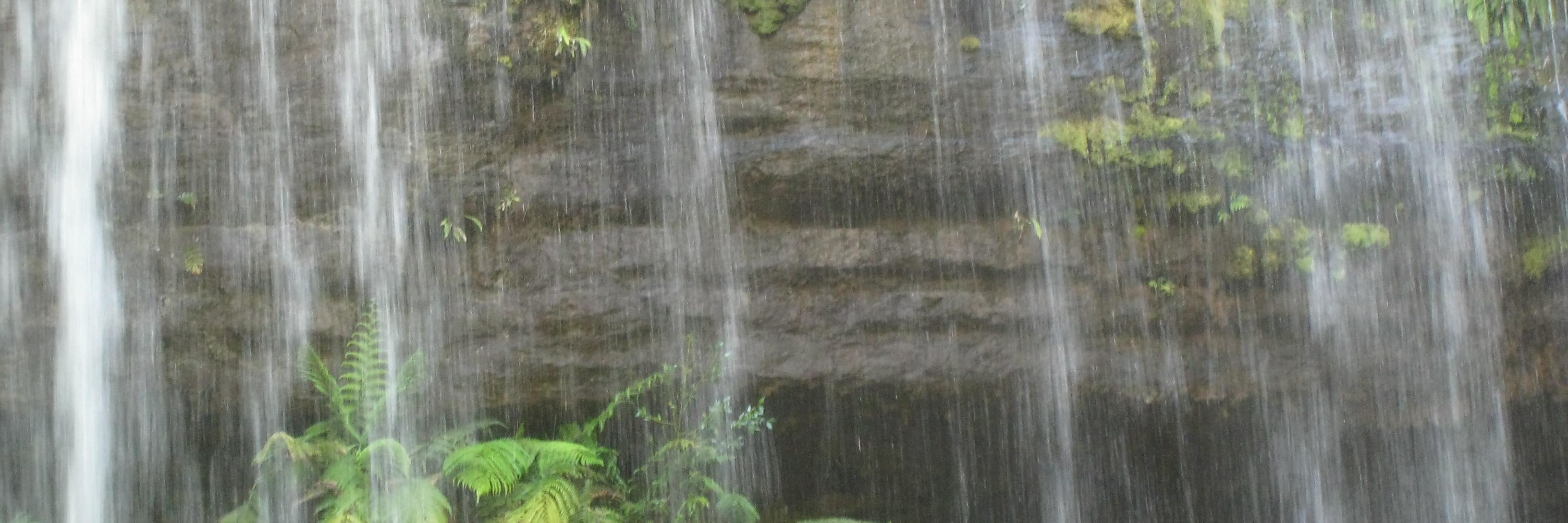 Stuart Prescott banner