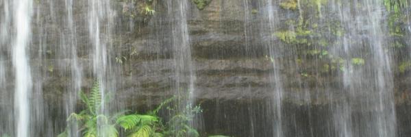 SWPrescott Profile Banner