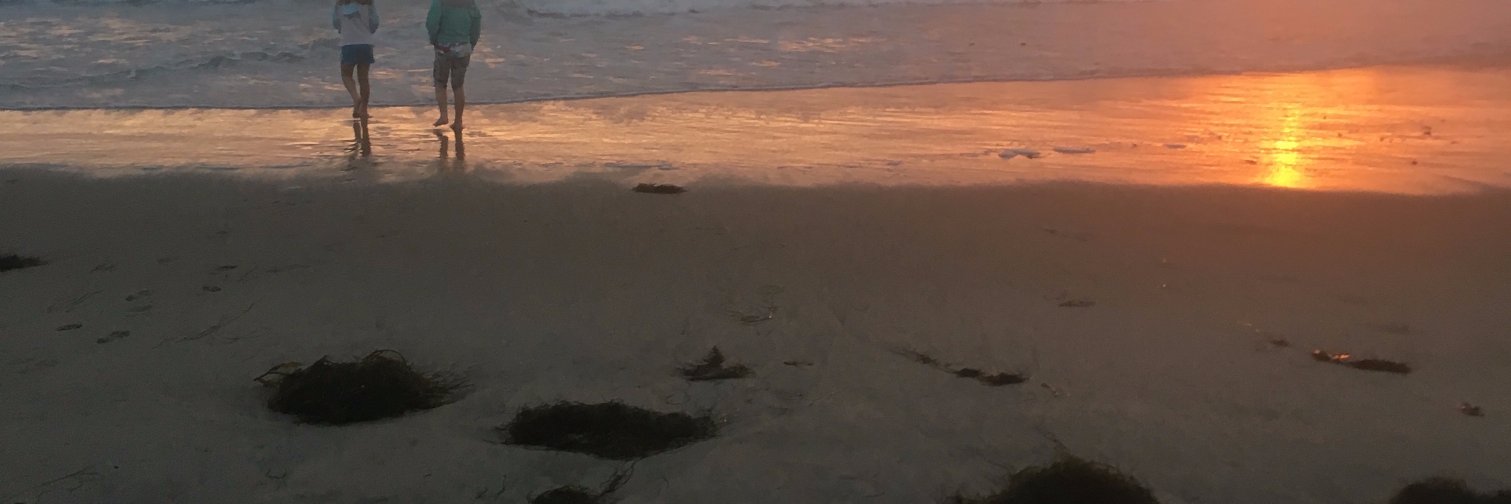 BatesDara's profile banner image