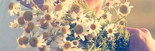 DavidMorenooooo's profile banner image