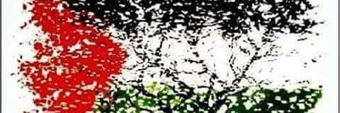 NZableh's profile banner image