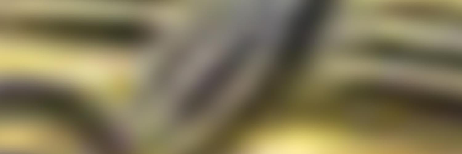 archsocthanet's profile banner image