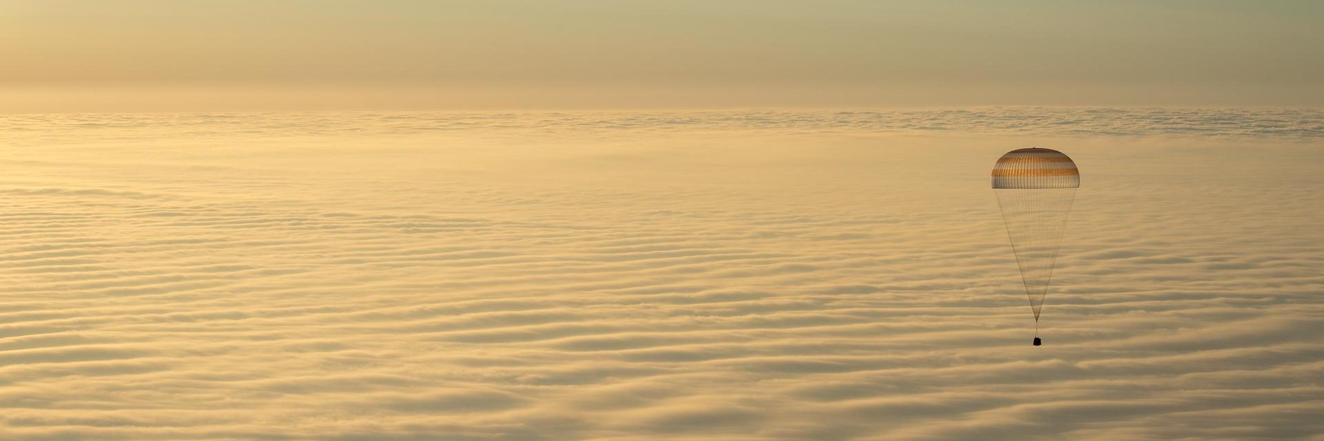 mwiesenb's profile banner image