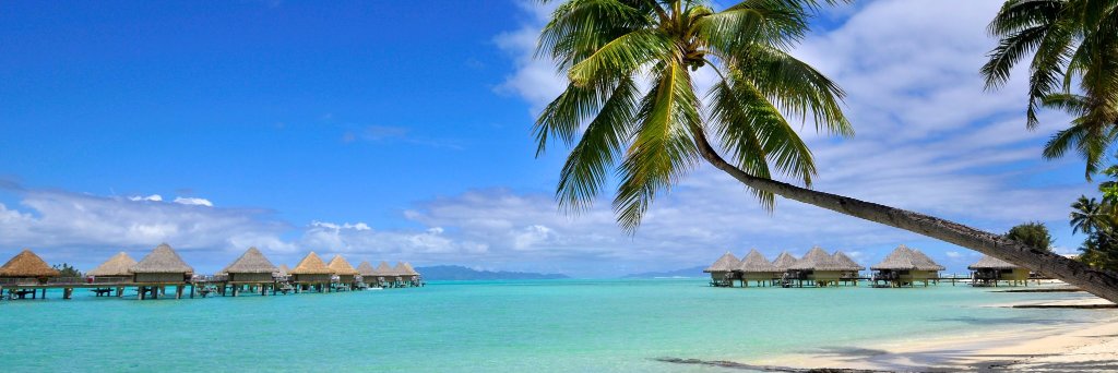 Pacific Beachcomber banner