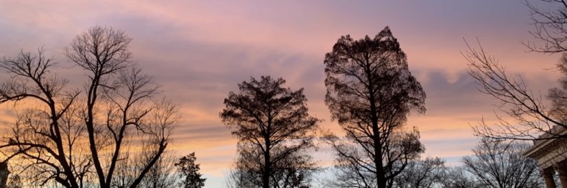peytonmballou's profile banner image