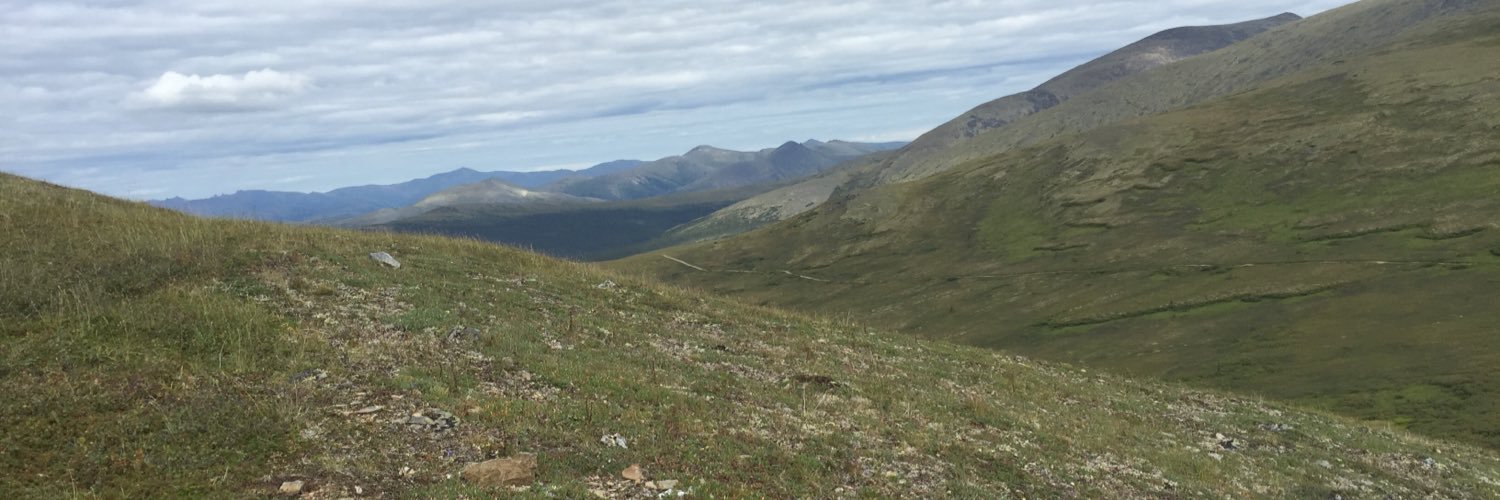 beccafath88's profile banner image