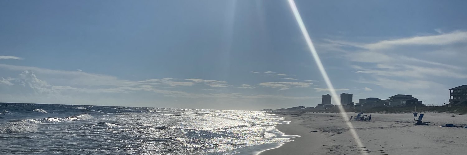 Chip McLemore banner