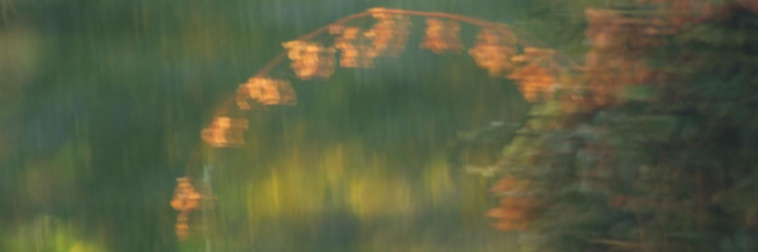 jantusm's profile banner image