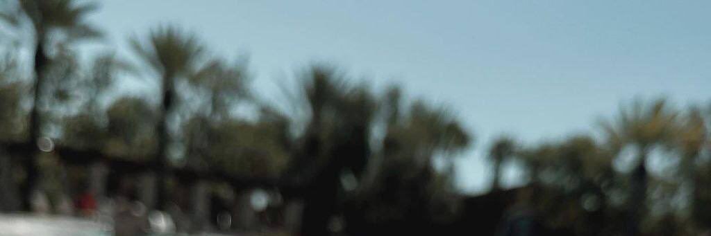 DLmammi's profile banner image