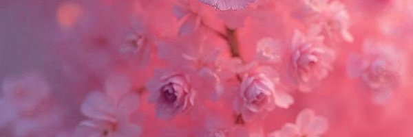 iamtinaaurora Profile Banner