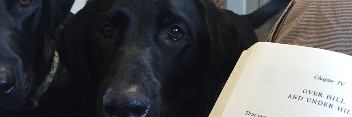 William Lindley banner