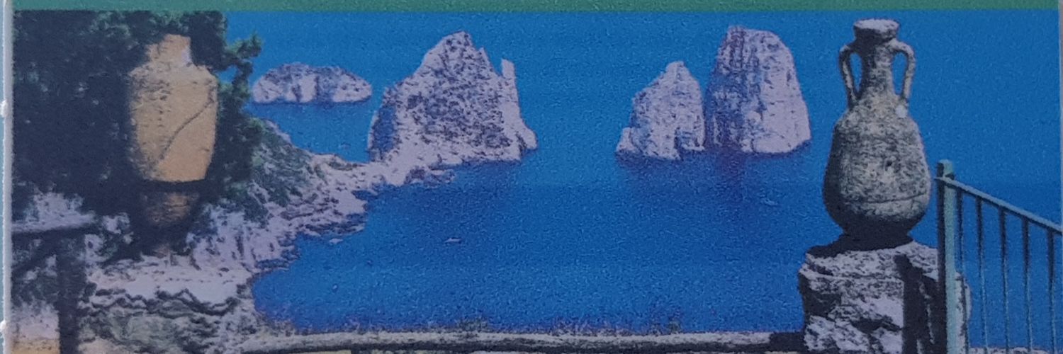 fishmansleep's profile banner image