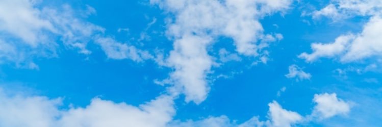 EmmaLosada's profile banner image