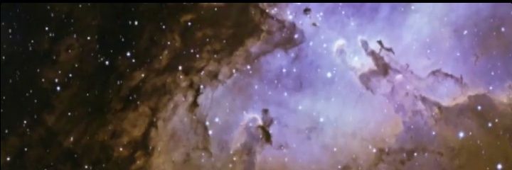 yallwrong's profile banner image