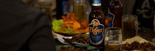 TigerBeerUS Profile Banner