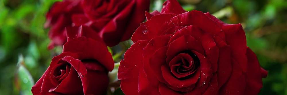 Valari_'s profile banner image