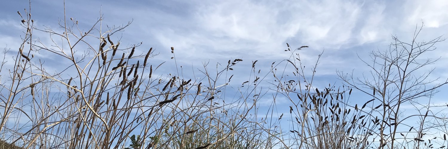 Hilly Raphael banner