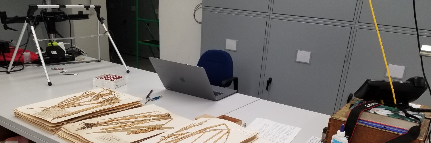 Rafal Gutaker banner